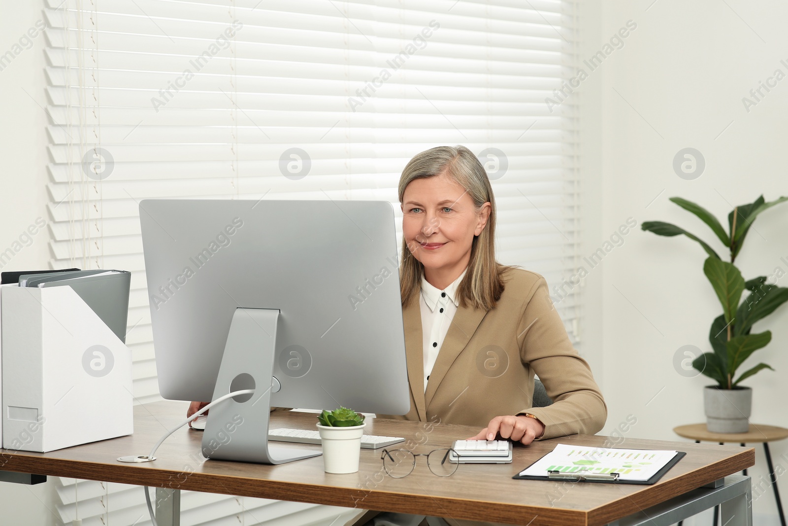 Photo of Senior accountant working at wooden desk in office