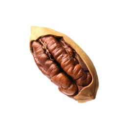 Photo of Tasty pecan nut with shell isolated on white