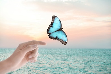 Image of Morpho butterfly flying away from woman near sea at sunset, closeup