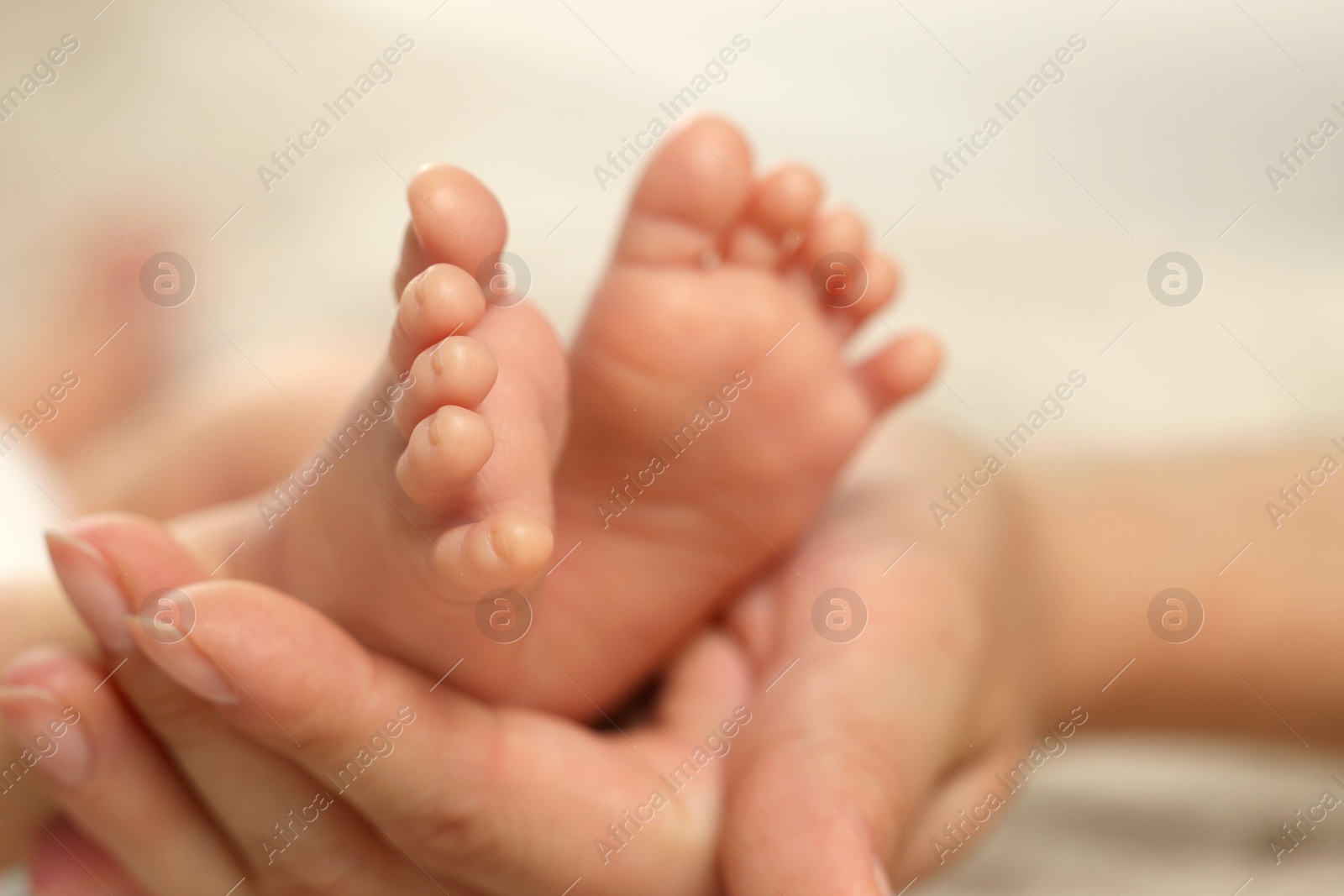 Photo of Mother holding her newborn baby, closeup view on feet. Lovely family