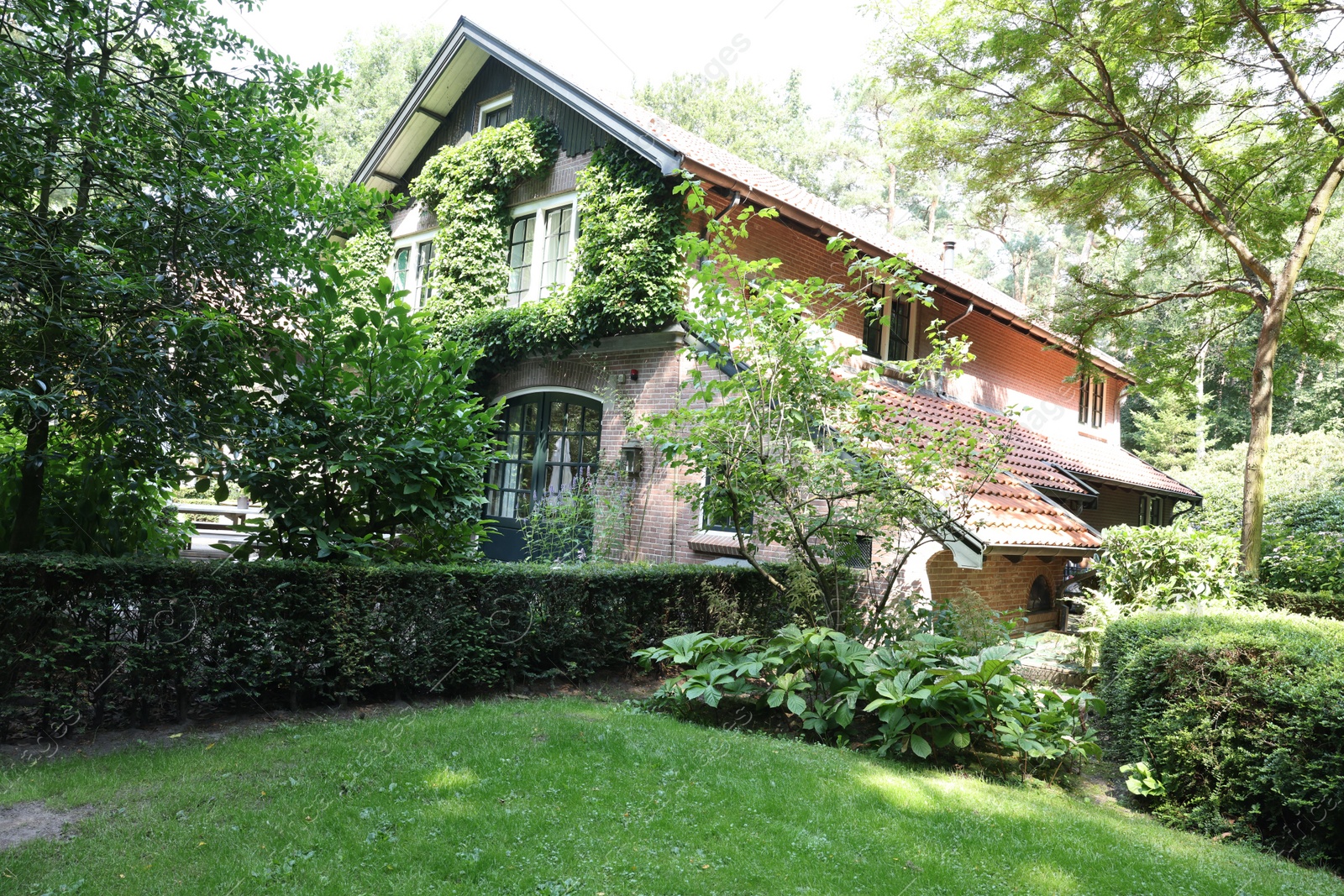 Photo of Beautiful view of house and garden on sunny day