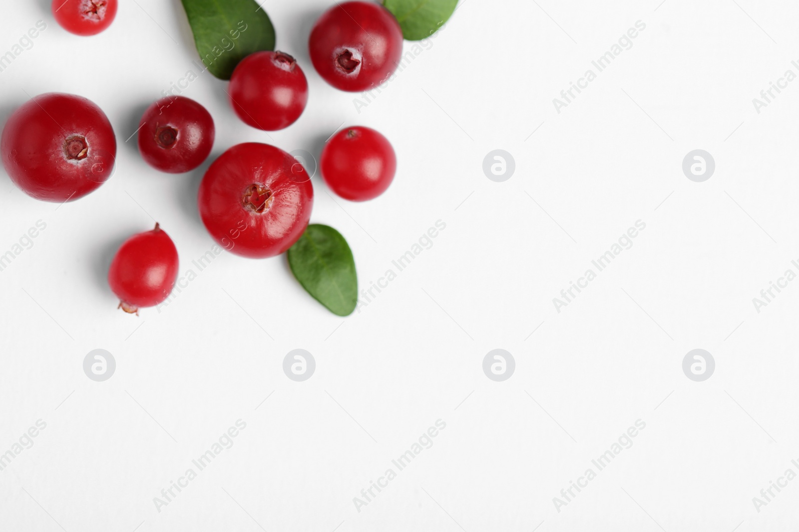 Photo of Fresh ripe cranberries and green leaves on white background, flat lay. Space for text