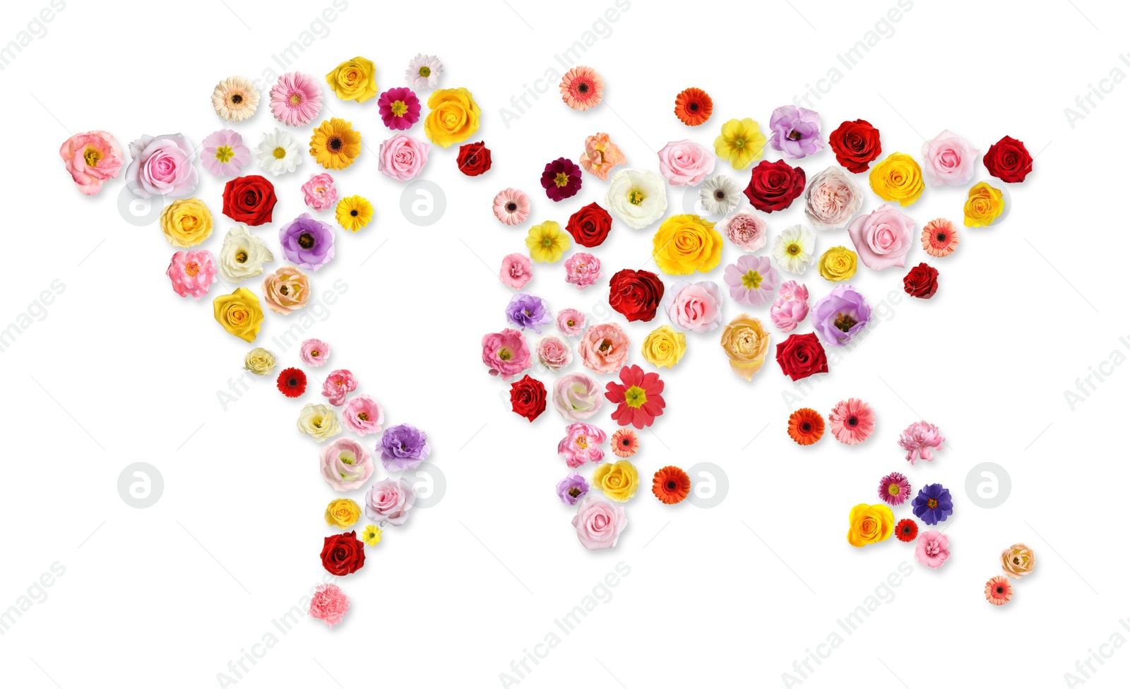 Image of World map made of beautiful flowers on white background, banner design