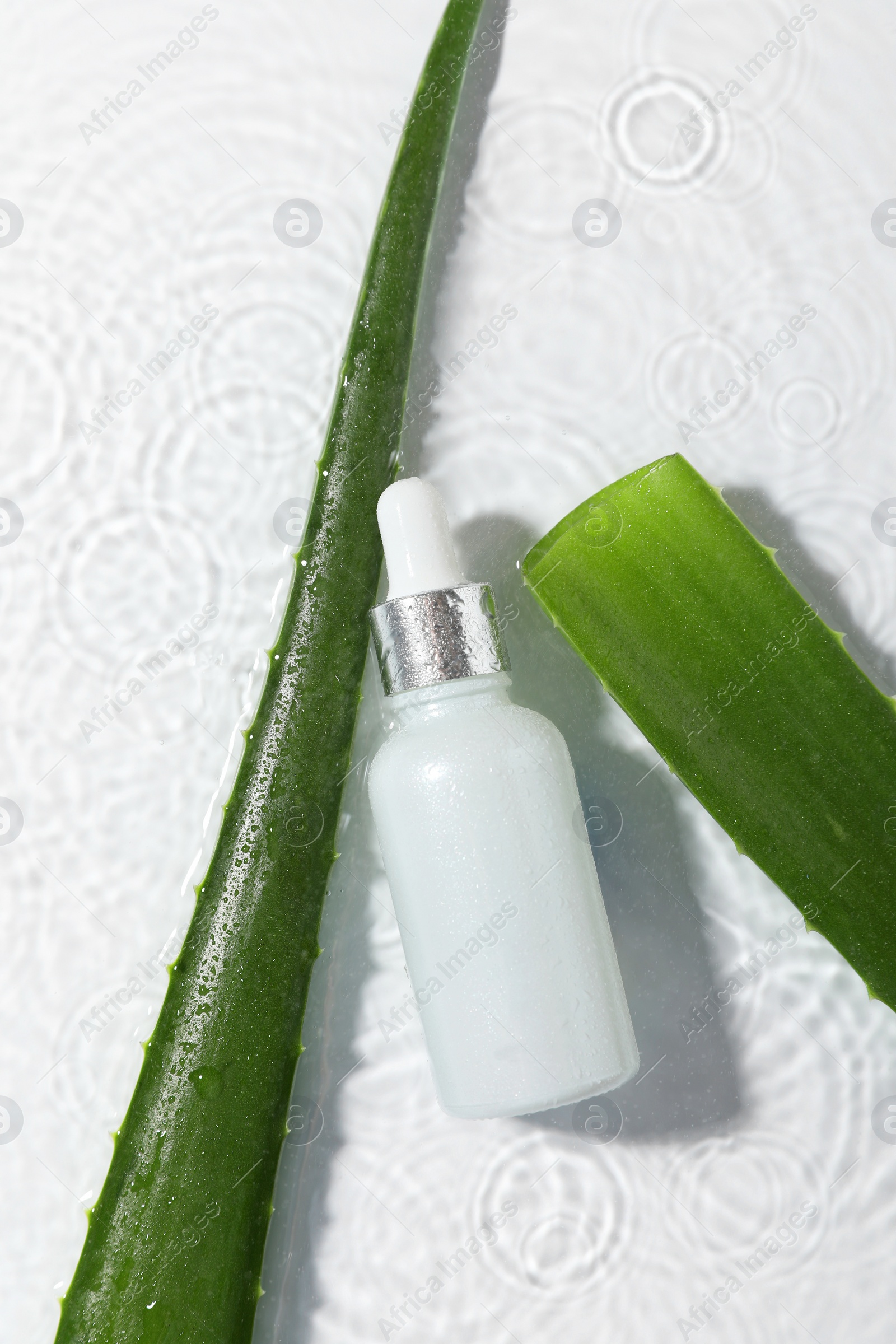 Photo of Bottle of cosmetic product and aloe leaves in water on white background, flat lay