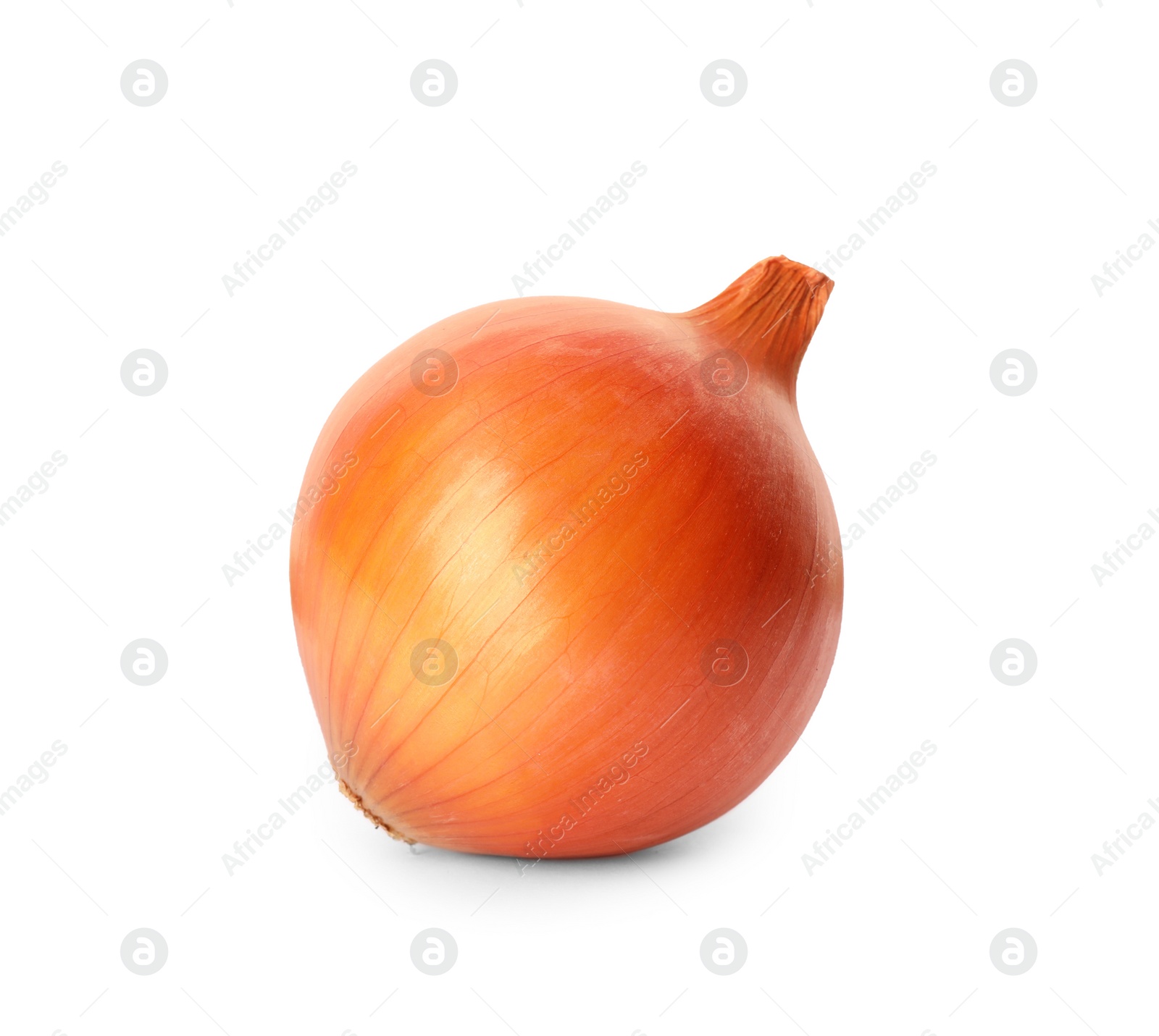 Photo of One fresh unpeeled onion isolated on white