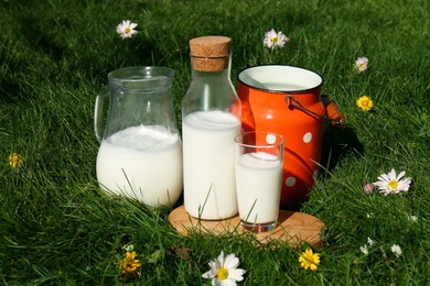 Tasty fresh milk on green grass outdoors