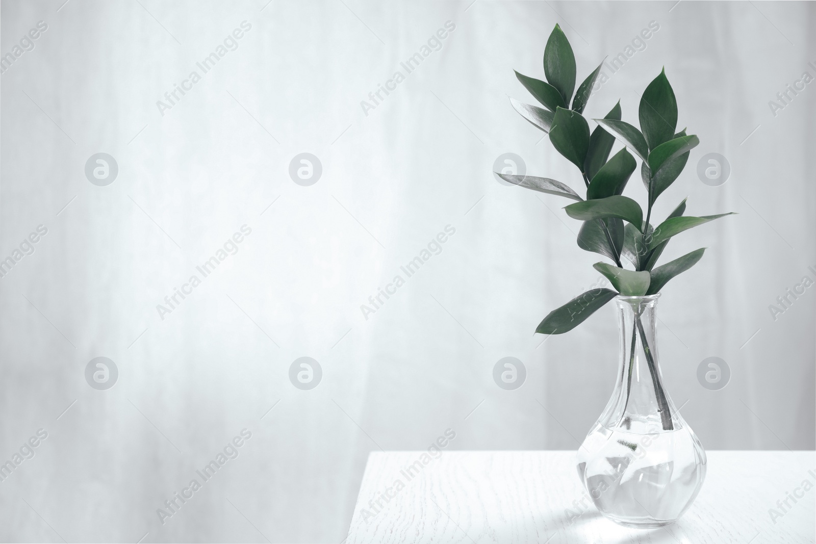 Photo of Glass vase with green branches on white table indoors, space for text