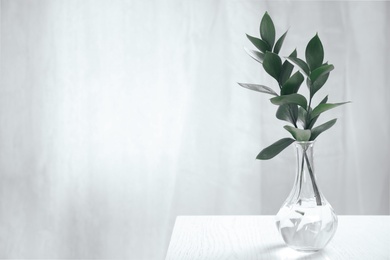 Photo of Glass vase with green branches on white table indoors, space for text