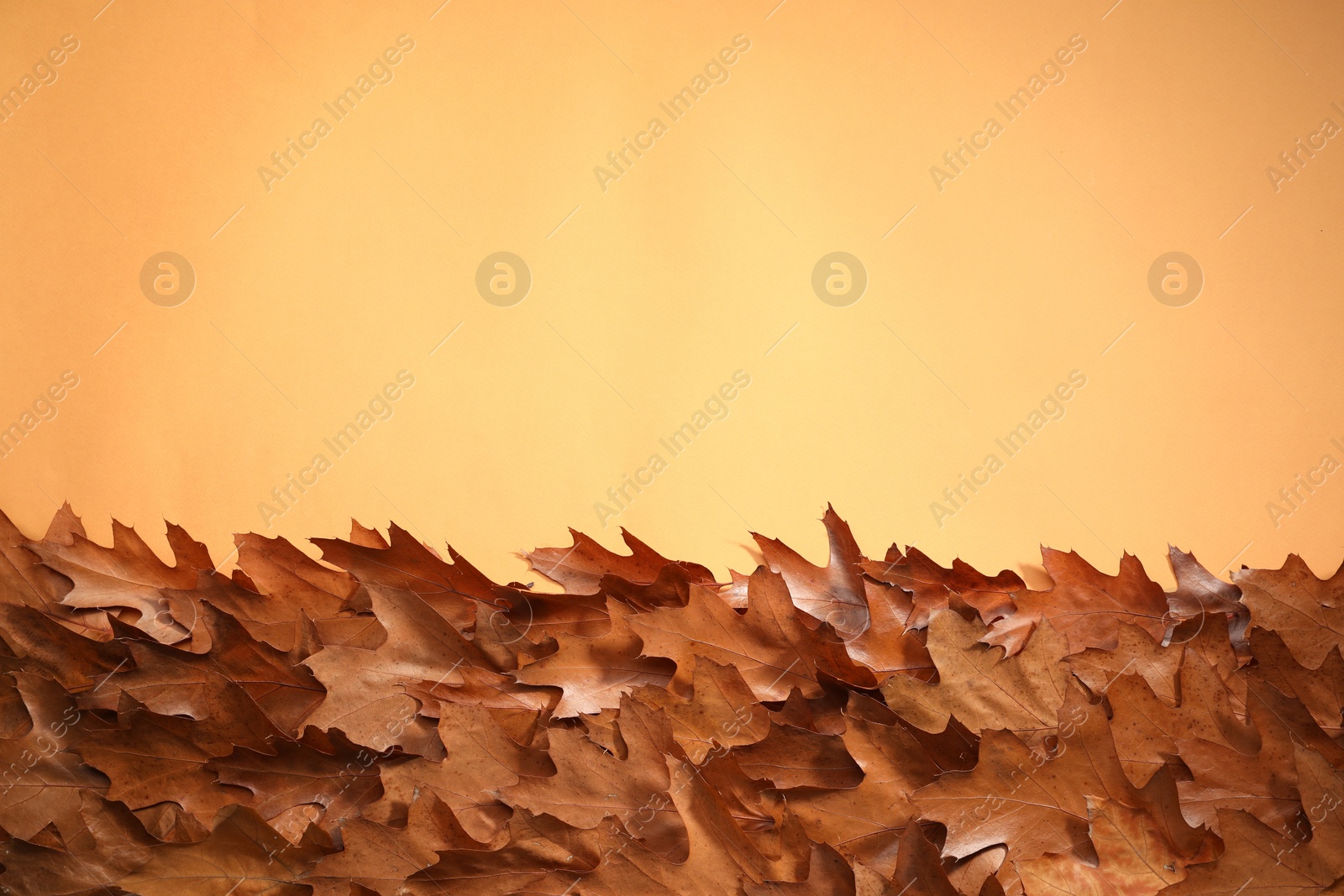 Photo of Dry autumn leaves on pale orange background, top view. Space for text