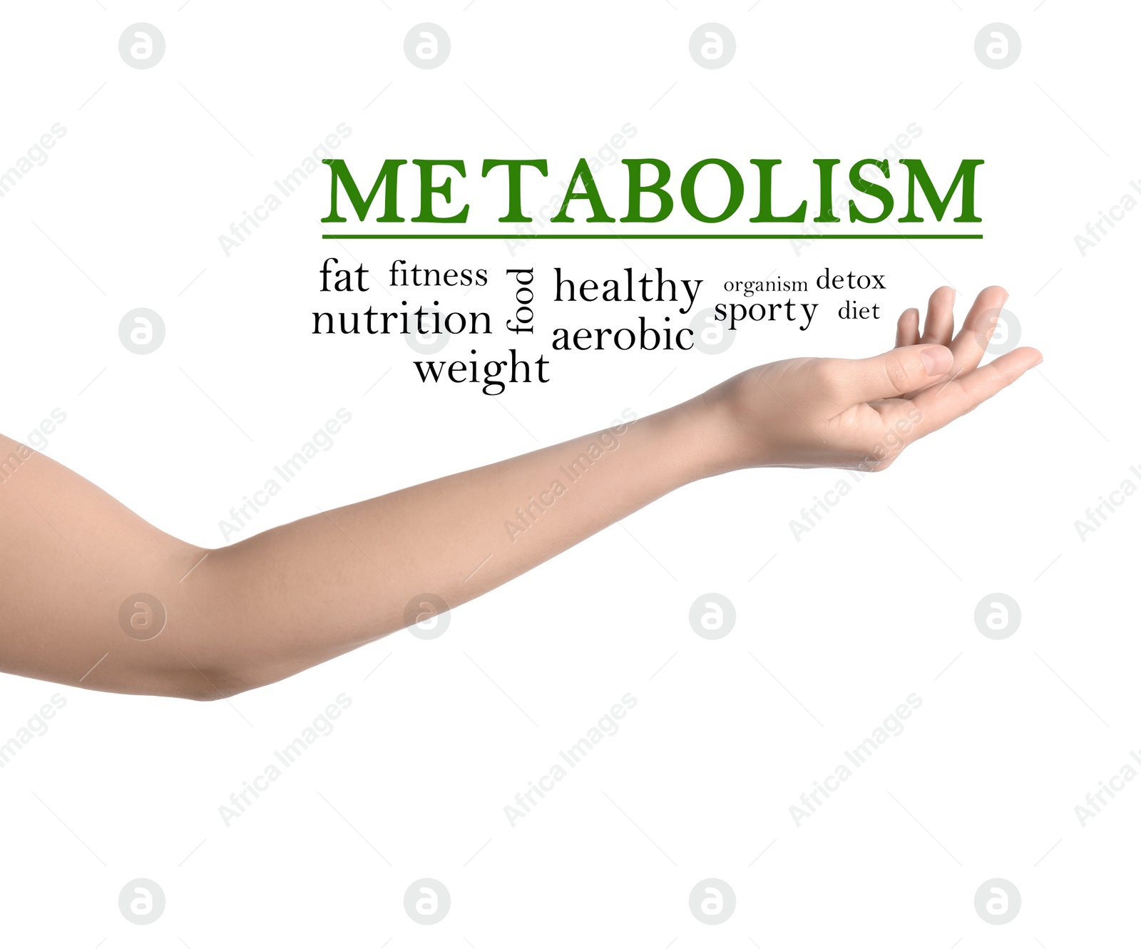 Image of Metabolism concept. Woman presenting scheme on white background, closeup