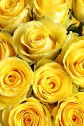 Beautiful bouquet of yellow roses as background, top view