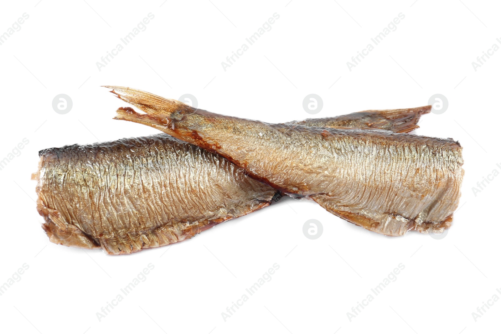 Photo of Two tasty canned sprats isolated on white