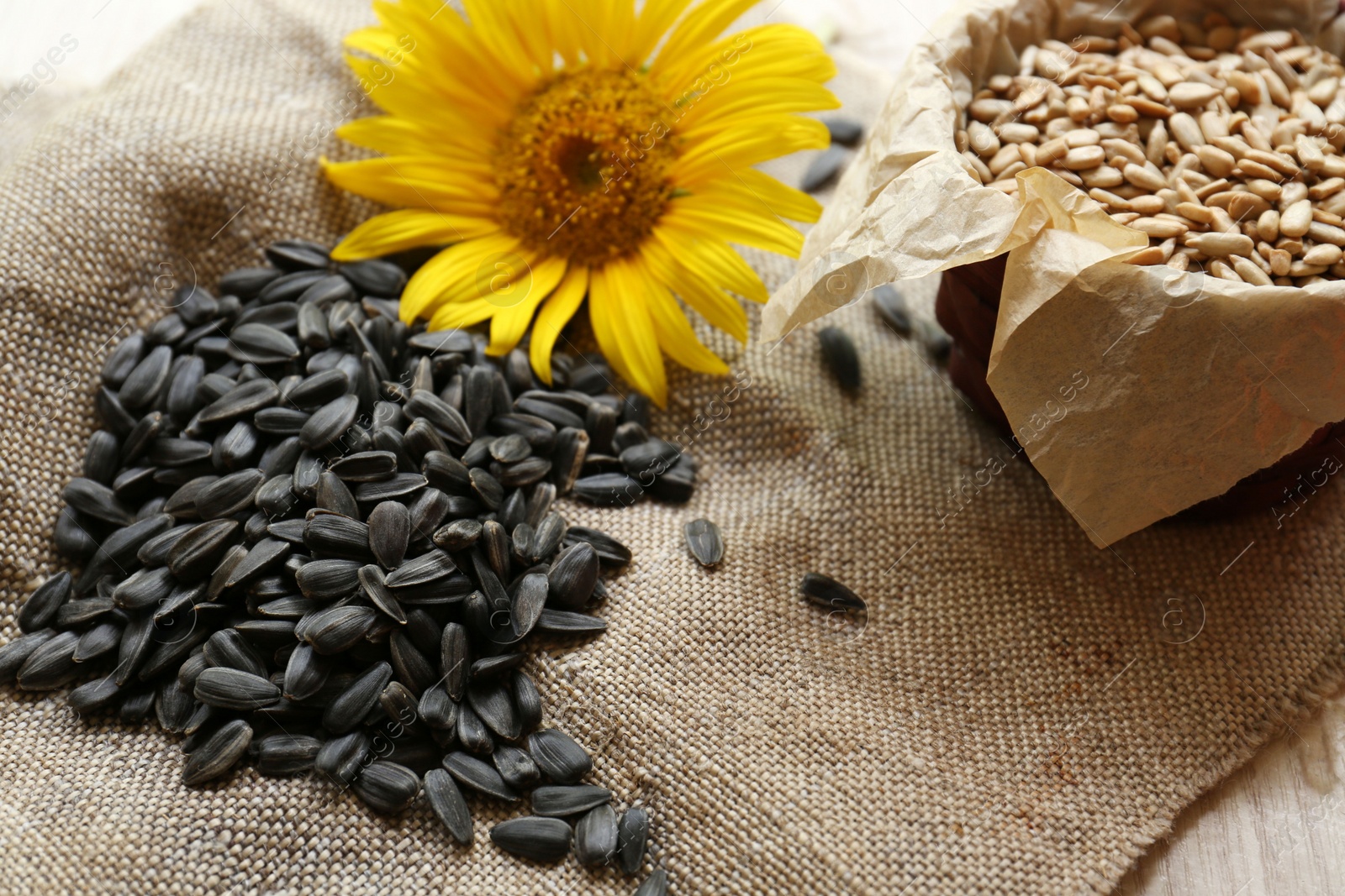 Photo of Roasted and raw sunflower seeds with flower on table