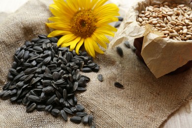 Roasted and raw sunflower seeds with flower on table