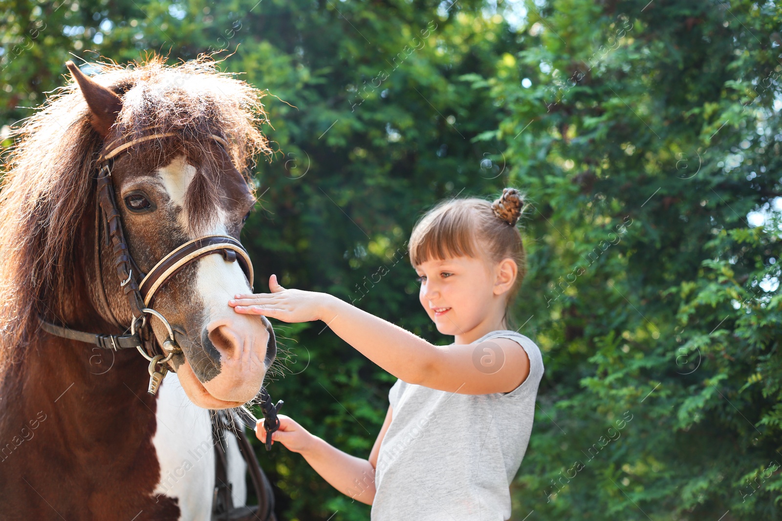 Photo of Cute little girl with her pony in green park