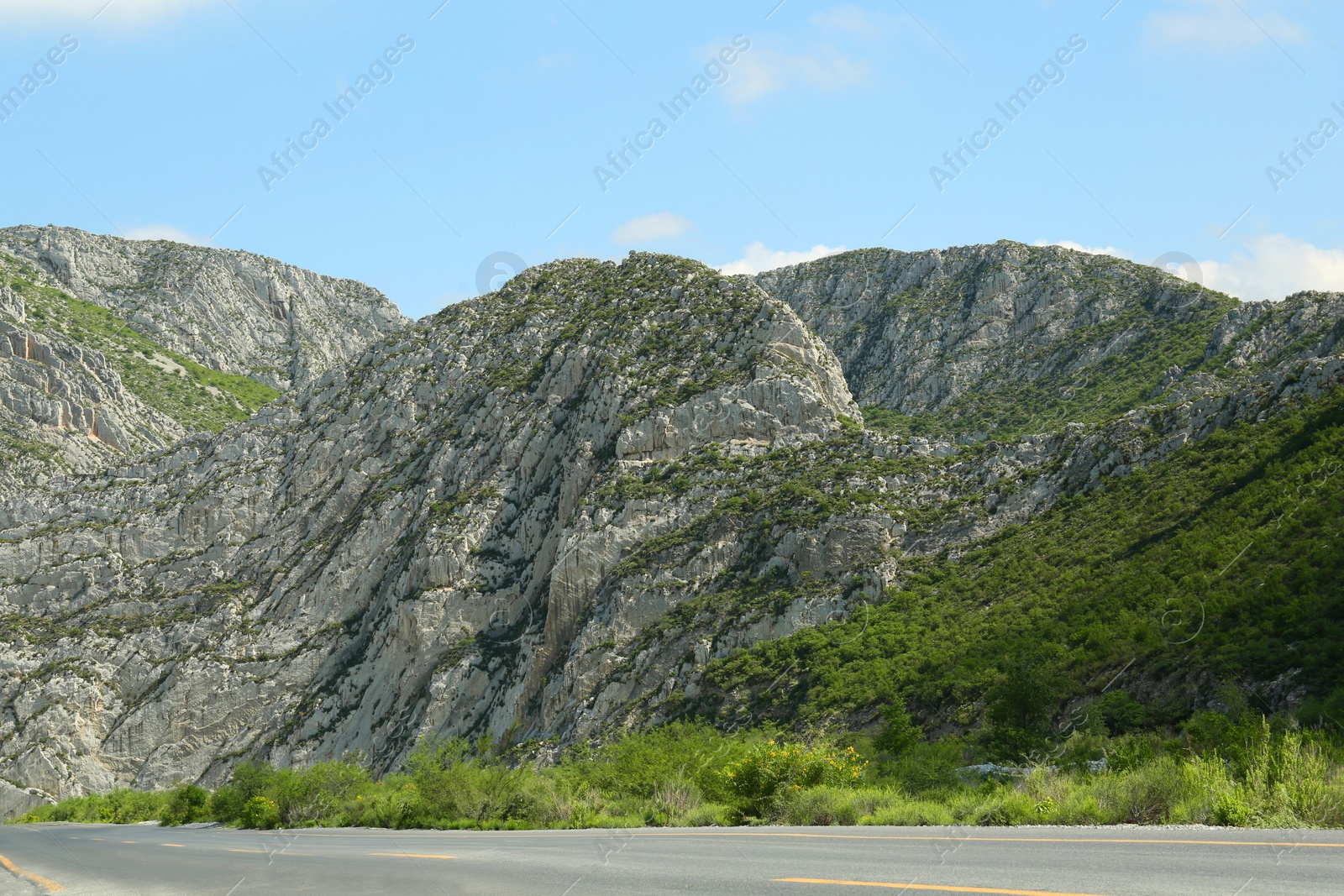 Photo of Picturesque view of beautiful mountains and plants near road