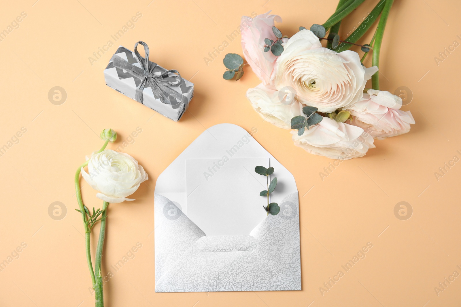 Photo of Flat lay composition with beautiful ranunculus flowers and card in envelope on color background. Space for text