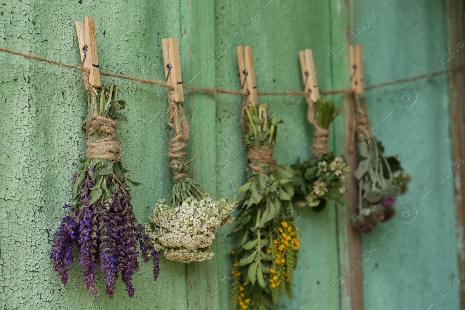 Photo of Bunches of different beautiful dried flowers hanging on rope near old wooden wall