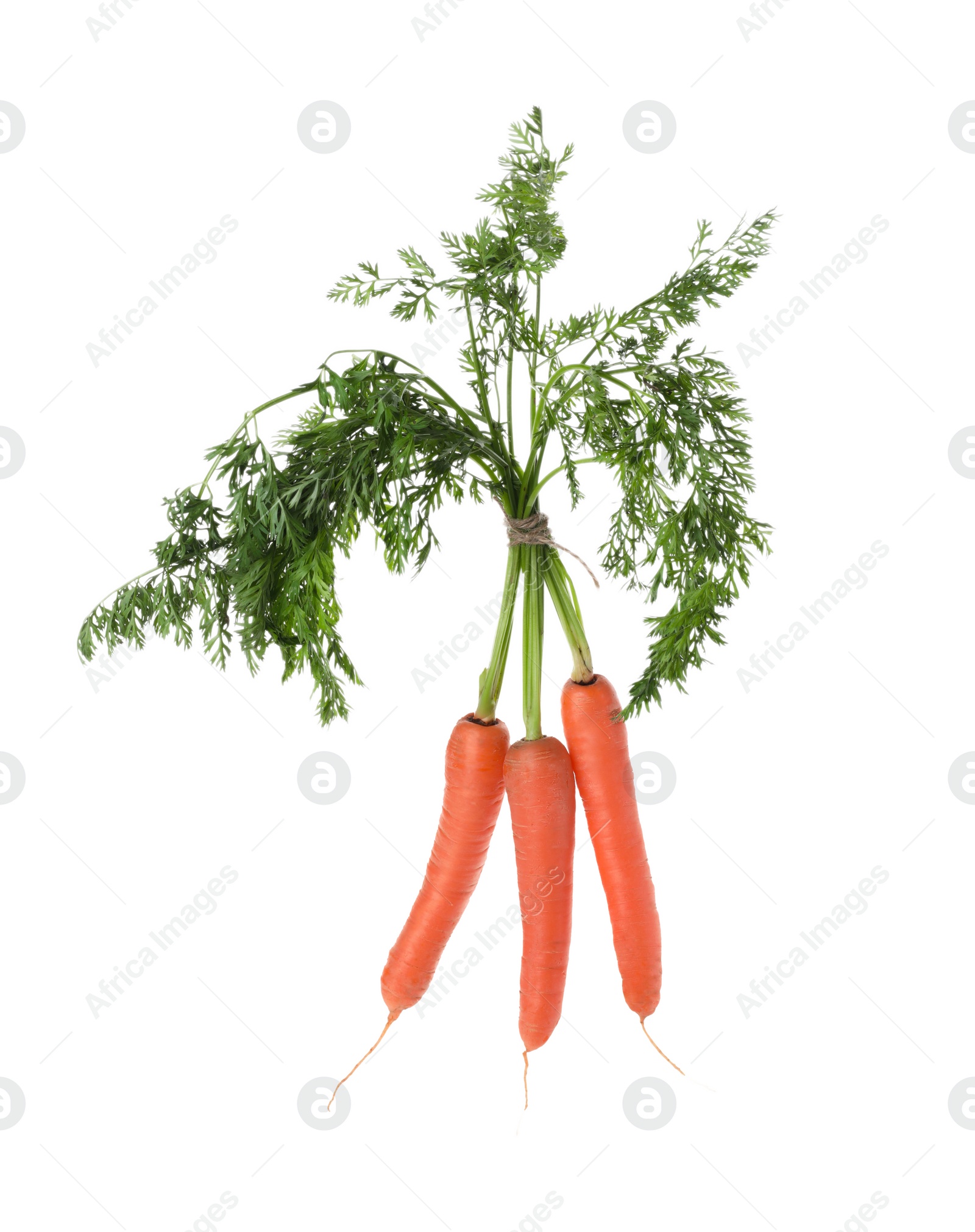 Photo of Bunch of tasty ripe carrots on white background