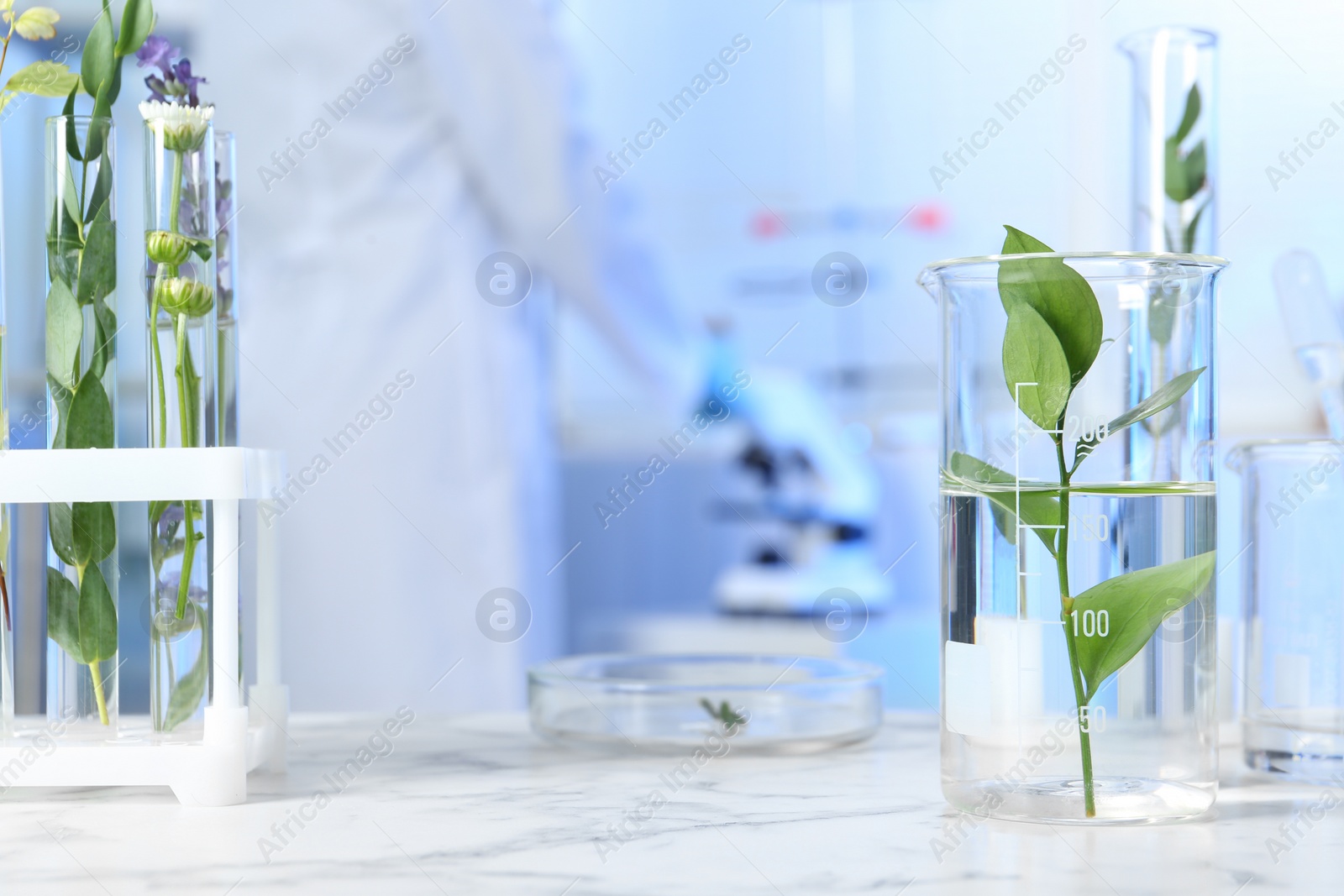 Photo of Test tubes and other laboratory glassware with different plants on table indoors