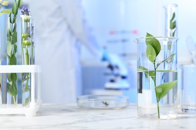 Photo of Test tubes and other laboratory glassware with different plants on table indoors