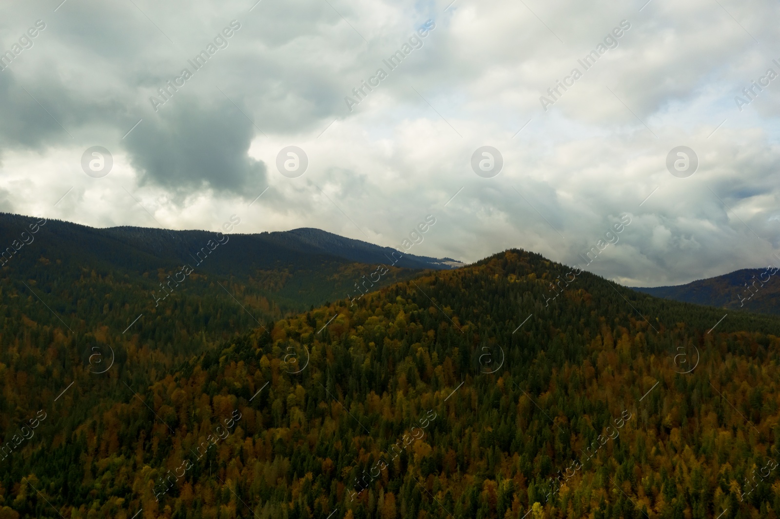 Image of Aerial view of beautiful forest in mountains on autumn day