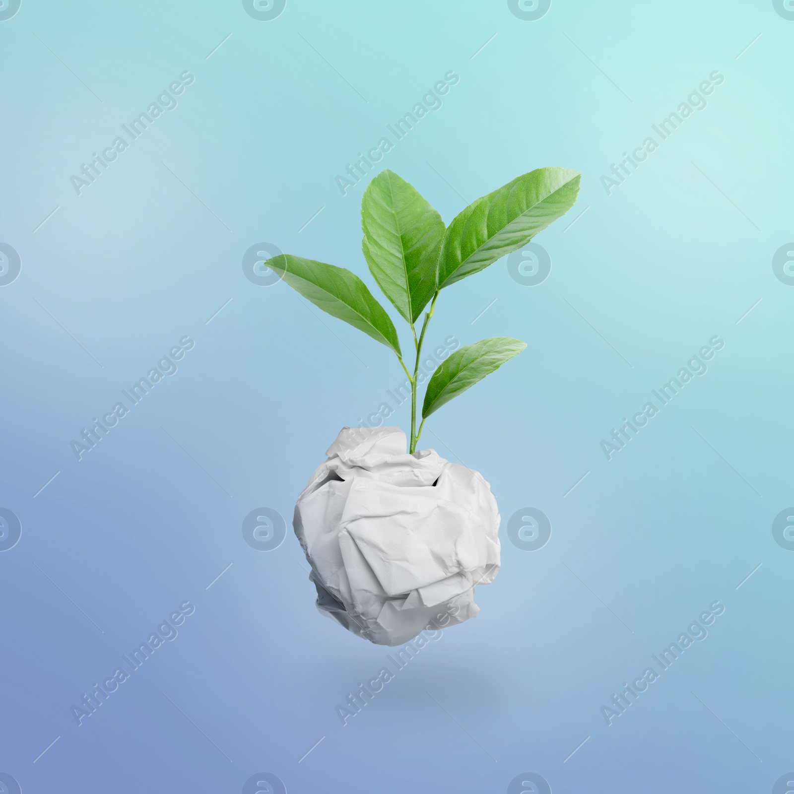 Image of Crumpled sheet of paper on twig with green leaves on light blue background. Recycling concept