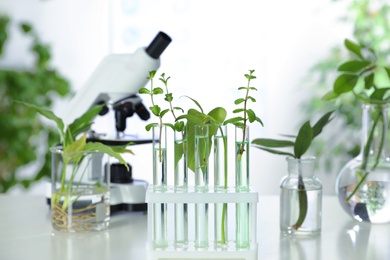 Photo of Glass tubes with plants in rack on table against blurred background. Biological chemistry