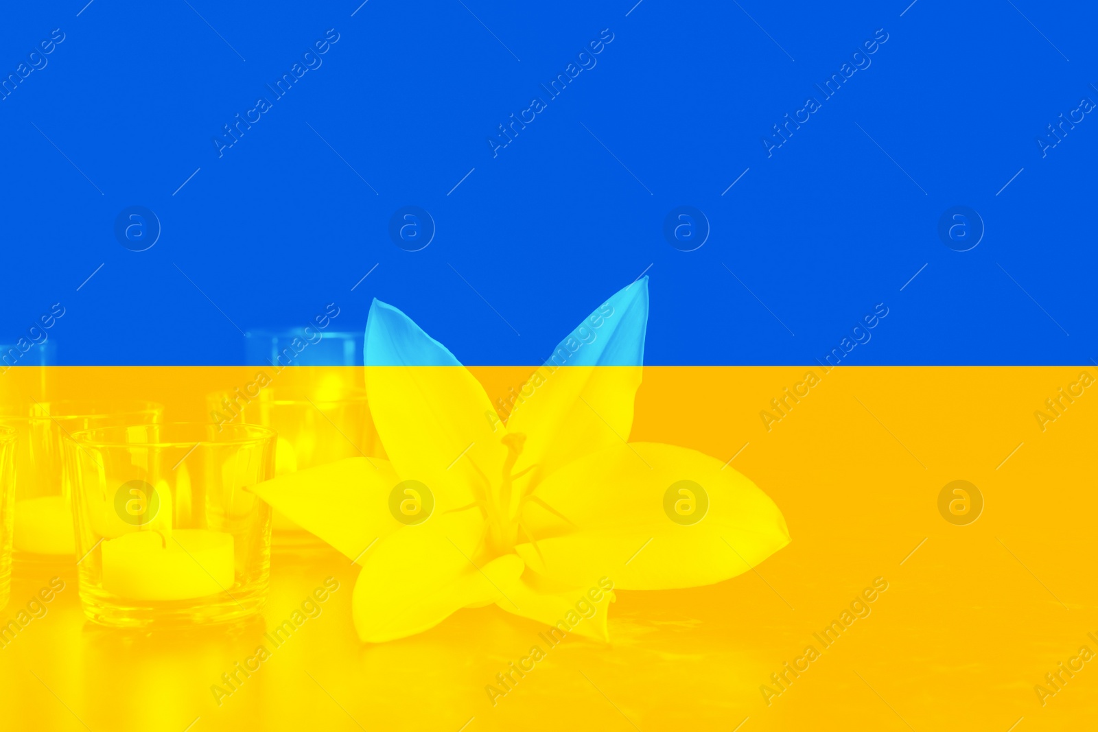 Image of Double exposure of Ukrainian national flag and lily with burning candles