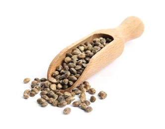 Photo of Wooden scoop with hemp seeds on white background