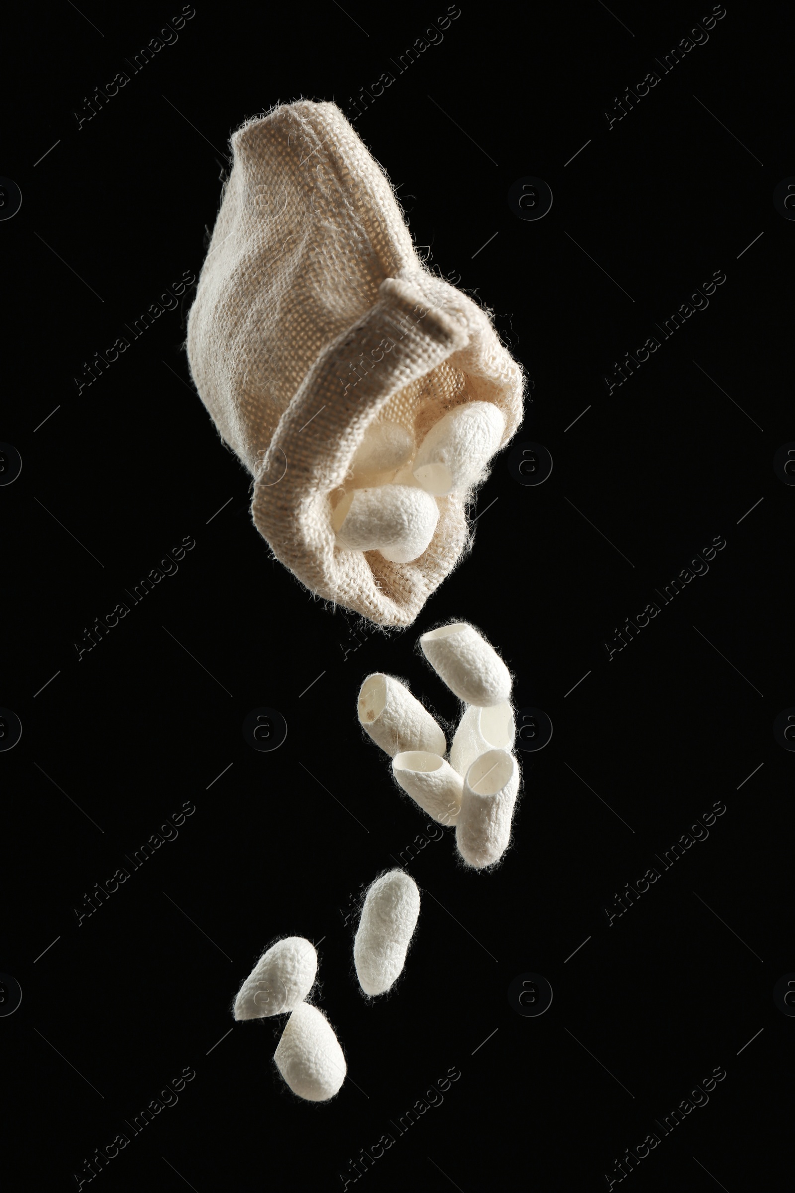 Photo of Shaking white silk cocoons out of sackcloth bag on black background