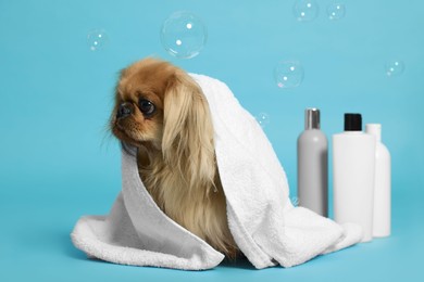 Photo of Cute Pekingese dog wrapped in towel, bottles and bubbles on light blue background. Pet hygiene