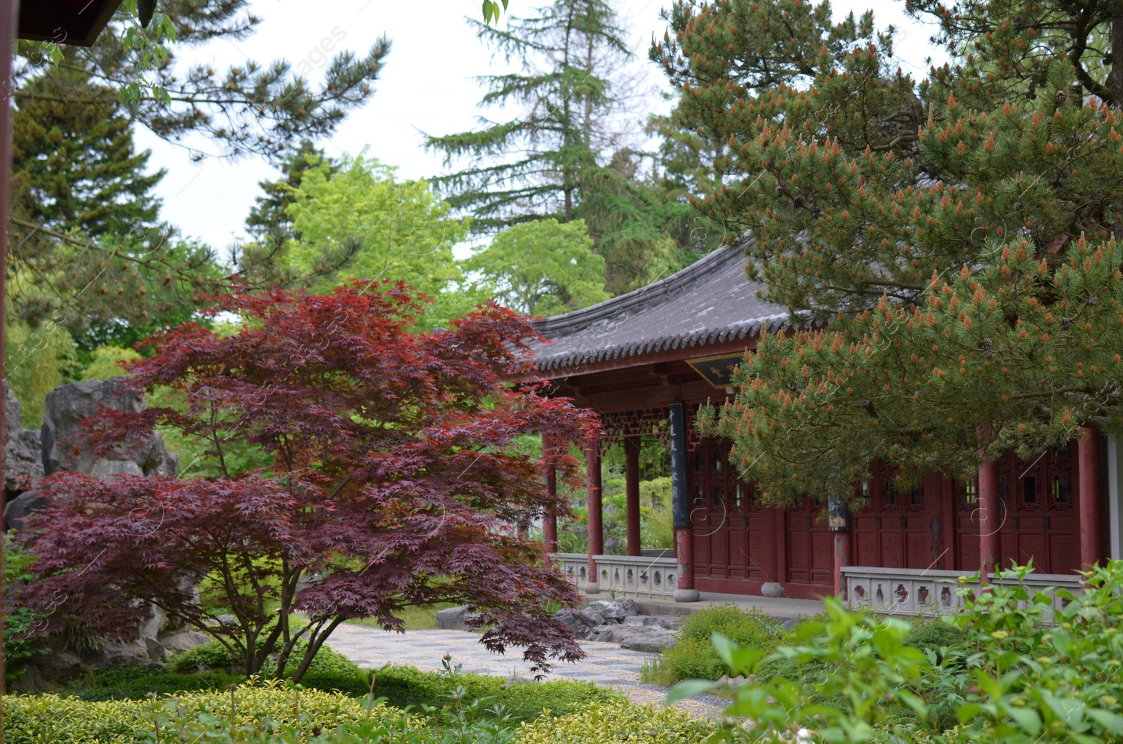 Photo of HAREN, NETHERLANDS - MAY 23, 2022: Beautiful view of oriental building among trees in Chinese garden