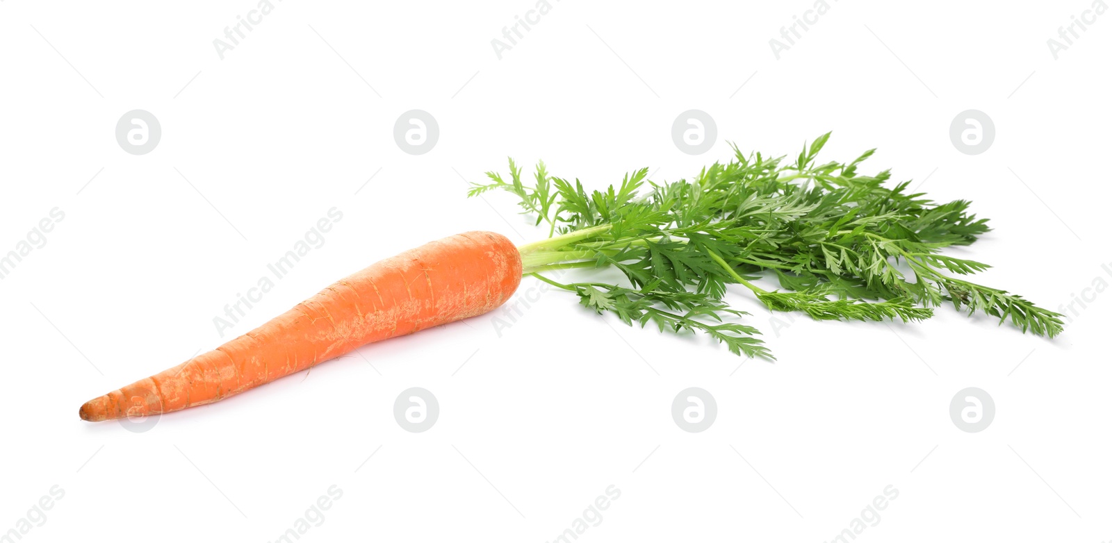 Photo of Fresh ripe carrot on white background. Wholesome vegetable