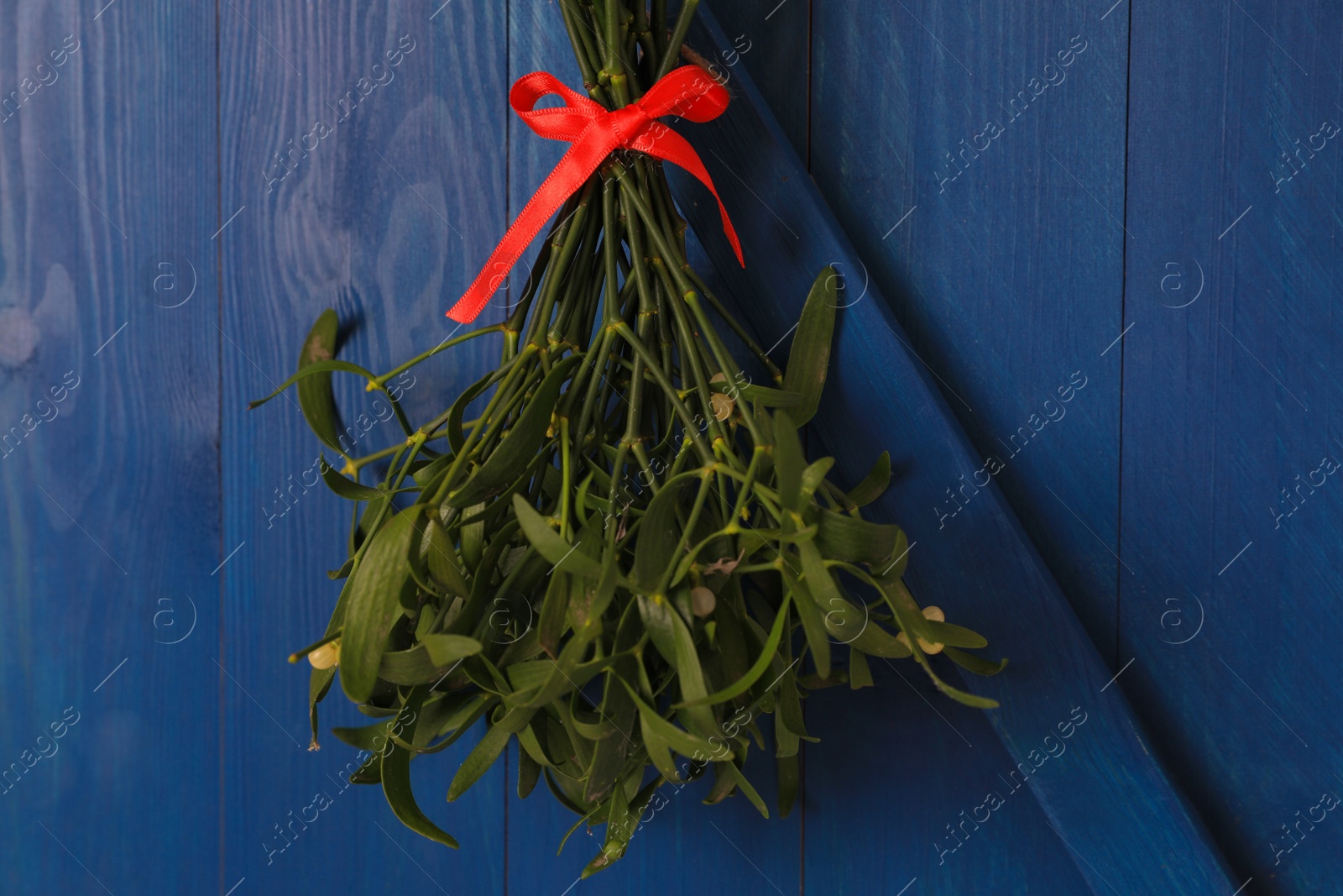 Photo of Mistletoe bunch with red bow hanging on blue wooden wall. Traditional Christmas decor