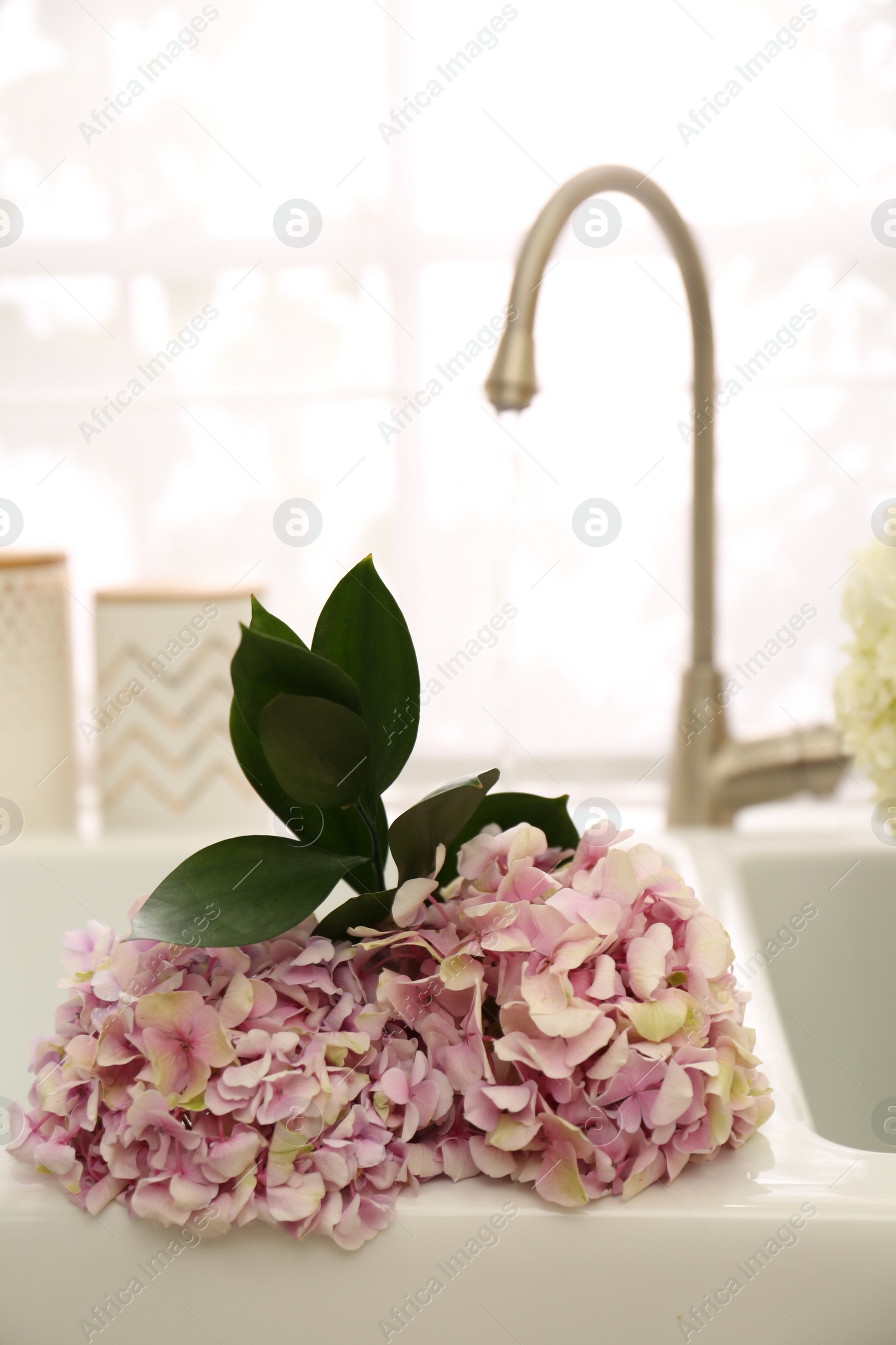 Photo of Bouquet with beautiful hydrangea flowers in sink