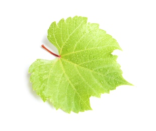 Photo of Fresh green grape leaf on white background