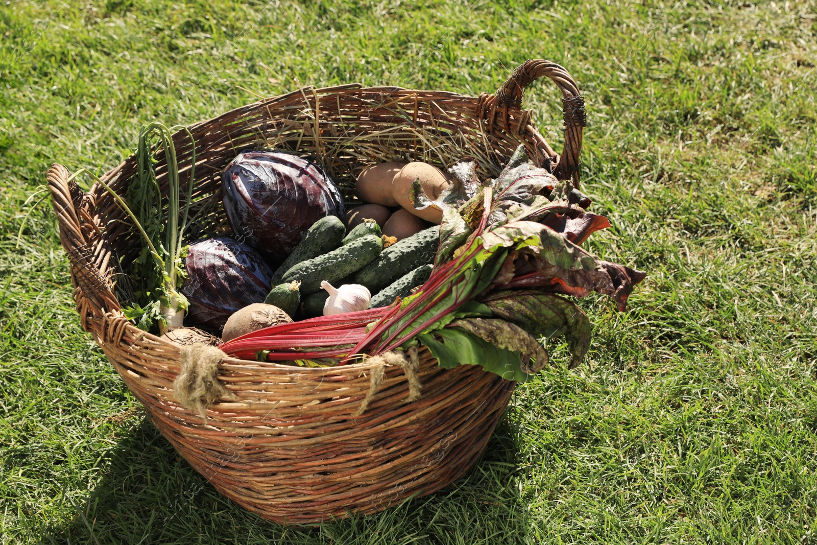 Photo of Different fresh ripe vegetables in wicker basket on green grass
