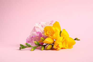 Beautiful blooming freesia flowers on pink background