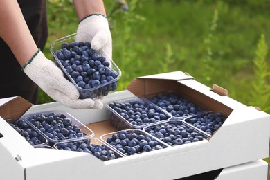 Man with containers of fresh blueberries outdoors, closeup. Seasonal berries