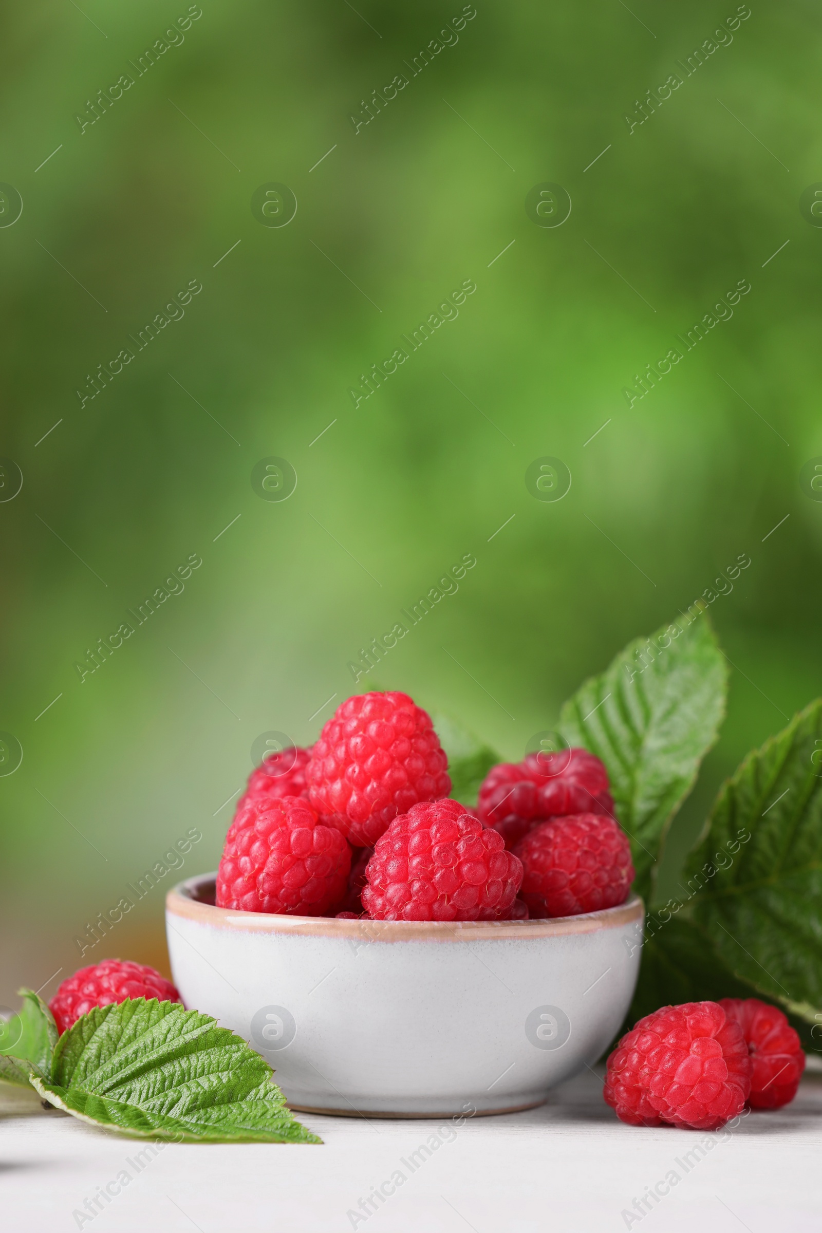 Photo of Tasty ripe raspberries and green leaves on white wooden table outdoors, space for text