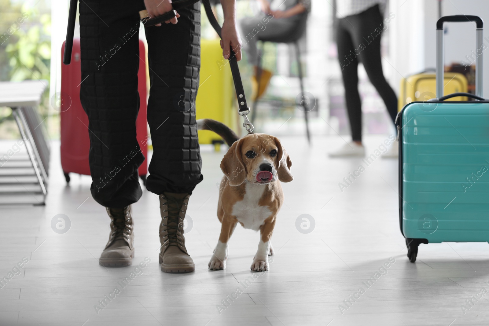 Photo of Officer with dog near suitcase in airport, closeup