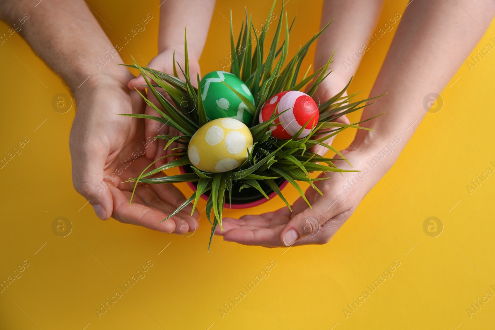 Photo of Family with composition of plant and Easter eggs on color background, top view