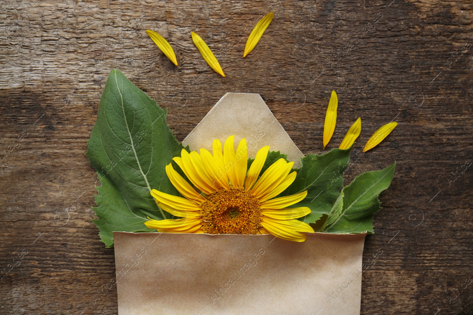 Photo of Flat lay composition with beautiful sunflower, leaves, petals and envelope on wooden table