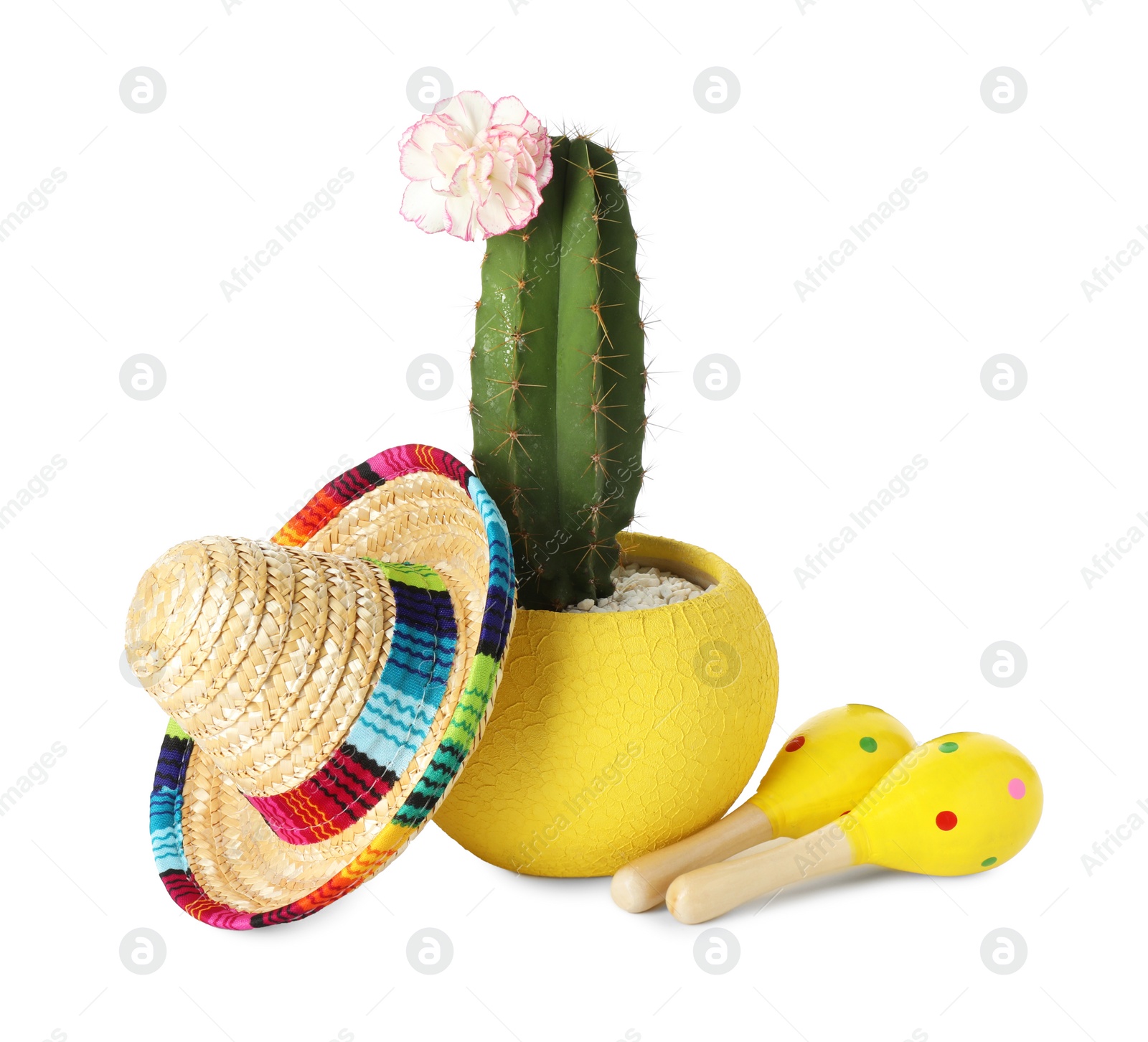 Photo of Mexican sombrero hat, cactus and maracas isolated on white
