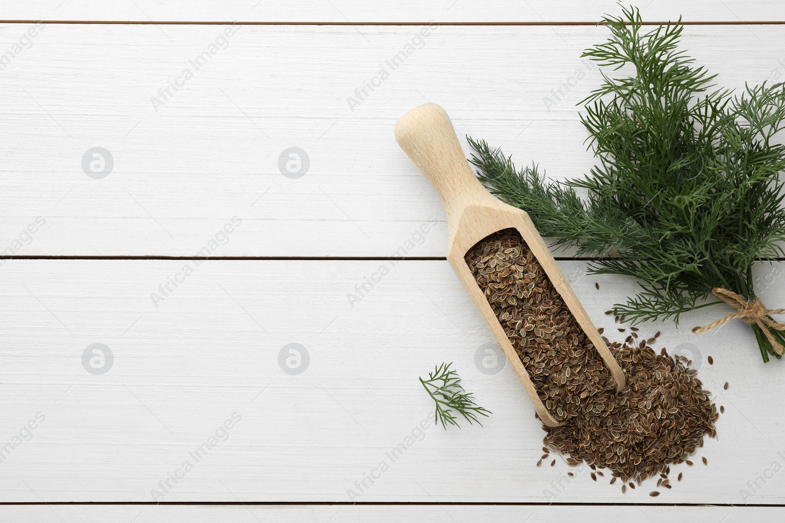 Photo of Dry seeds and fresh dill on white wooden table, flat lay. Space for text
