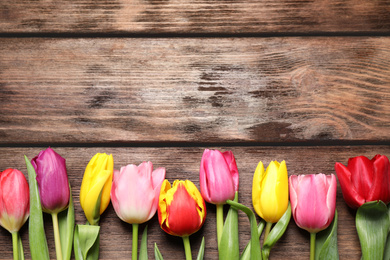 Photo of Beautiful spring tulips on wooden table, flat lay. Space for text