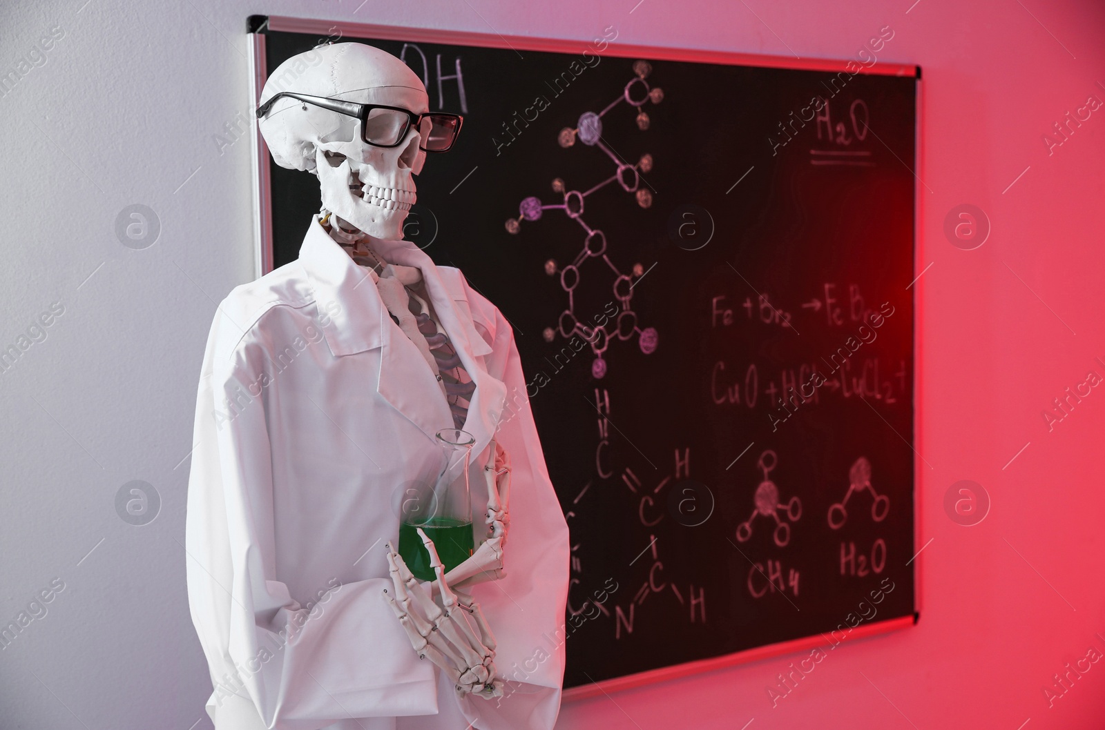 Photo of Human skeleton model with flask in classroom, toned in red
