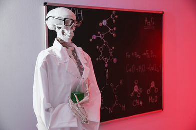 Human skeleton model with flask in classroom, toned in red