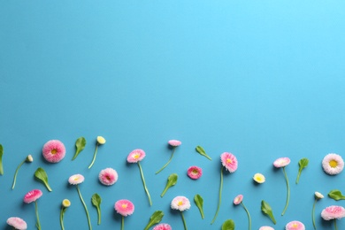 Photo of Flat lay composition with spring daisy flowers and space for text on color background